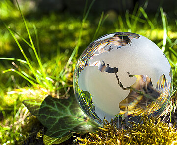 Weltkugel aus Glas auf einer grünen Wiese