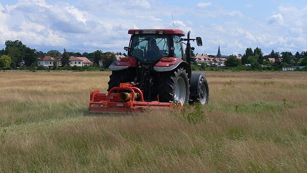 Ein Traktor mit Mähwerk mäht den Alten Flugplatz