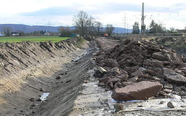 Pflegeeinsatz Südliche Hardt