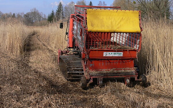 Pflegeeinsatz Fritschlach