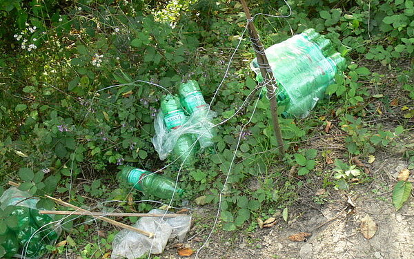 Pflegeeinsatz Rosengarten