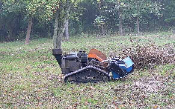 Pflegeeinsatz Knittelberg