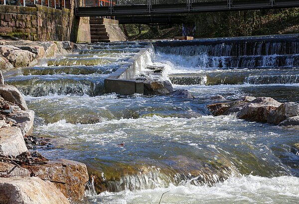 Fischtreppe Albrin Fertigstellung 2021