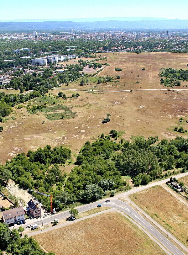 Alter Flugplatz-IMG_3391.JPG