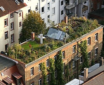 Schrägluftbild einer Dach- und Fassadenbegrünung in der Karlsruher Oststadt