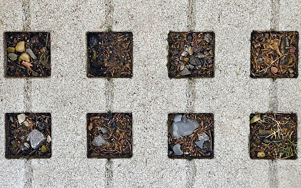 Das Bild zeigt ein Lochsteingitter welches als wasserdurchlässiger Bodenbelag eingesetzt wird.