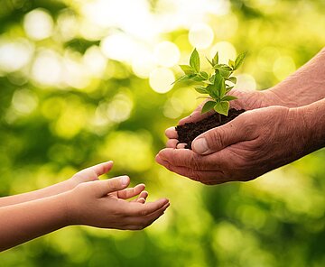Zwei paar Hände die sich eine Pflanze übergeben