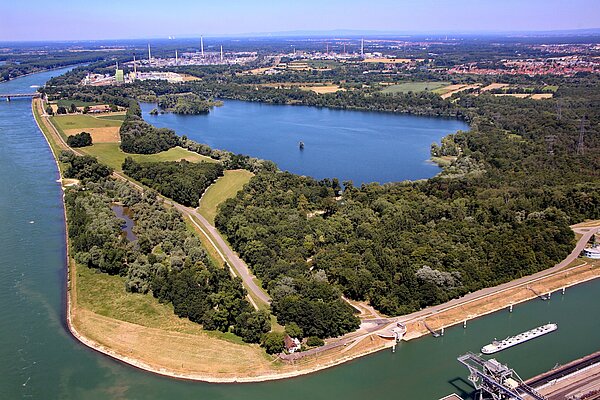 Schrägluftbild vom Knielinger See mit Blick nach Nordost