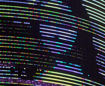 Mona Lisa verfremdet