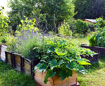 Hochbeete mit Blumen und Gemüse im Sonnengarten Karlsruhe