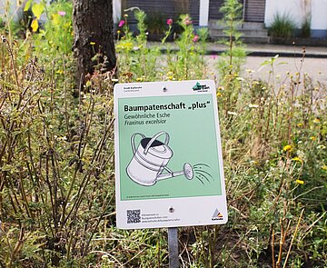 Baum mit Baumpatenschaftstafel und Blumen