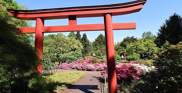 Japangarten, Zoologischer Stadtgarten