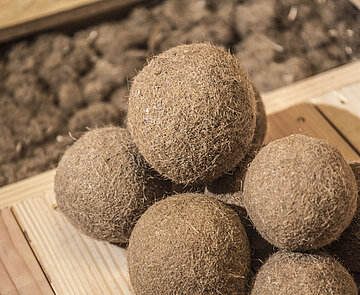 Neptungras als Dämmstoff