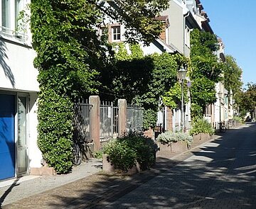 Blick auf die grün bewachsene Fassade des Künstlerhauses. 