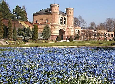 Das Bild zeigt den Torbogenbau des Botanischen Gartens hinter einer Frühlingswiese. 