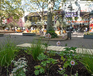 'Passagehof Begrünung