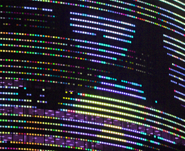 Mona Lisa verfremdet