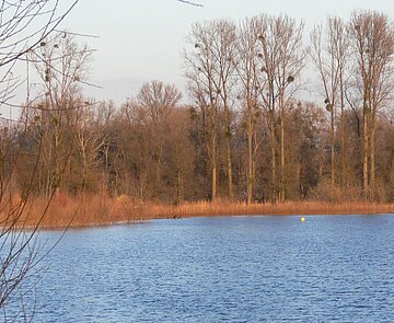 Aufnahme vom Ufer Kleiner Bodensee
