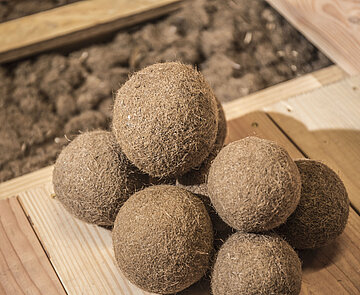 Neptungras als Dämmstoff