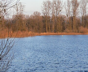 Aufnahme vom Ufer Kleiner Bodensee