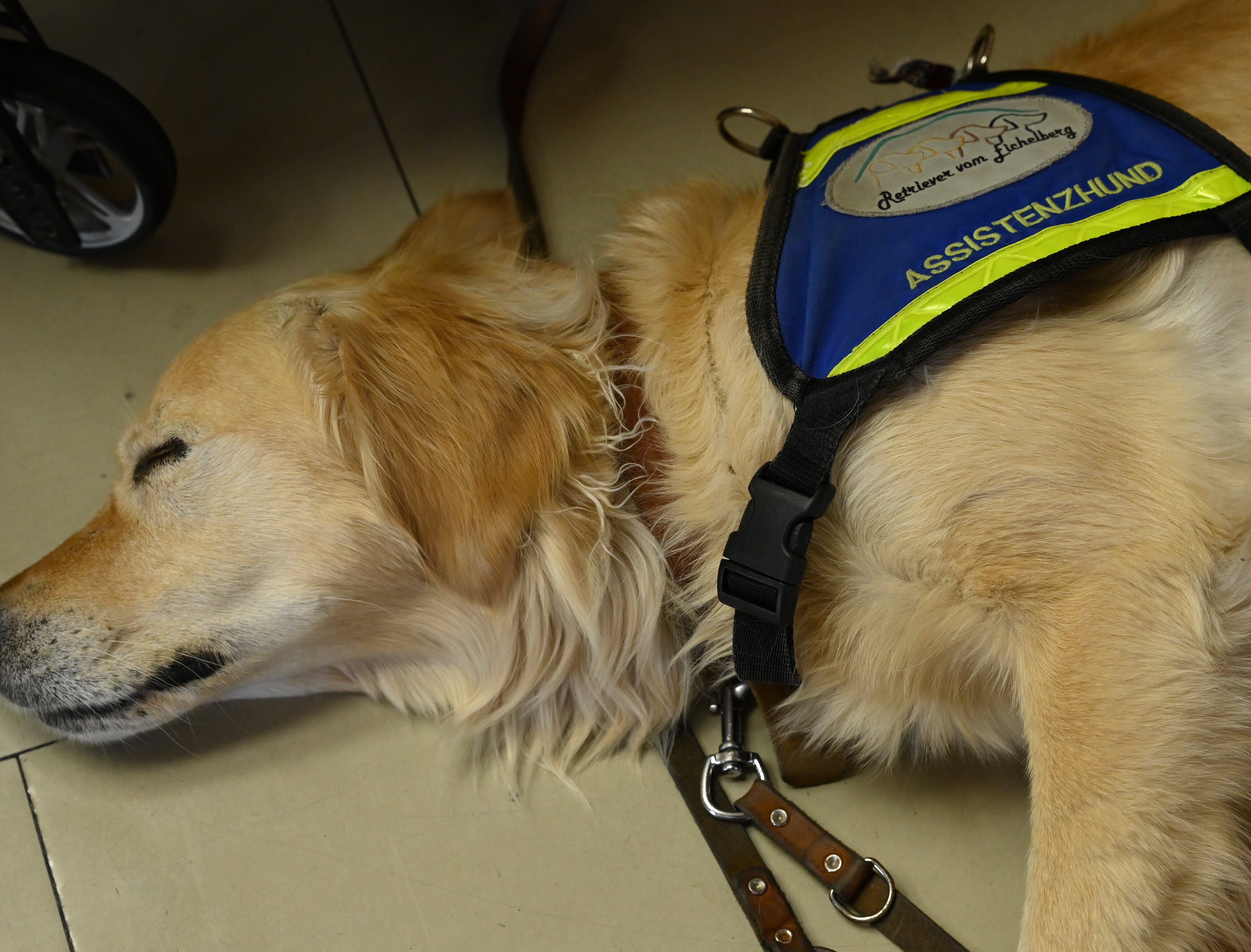 Die Schweizer Delegation zu den Special Olympics 2023 ist in Karlsruhe zu Gast