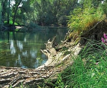Stadt der Biologischen Vielfalt