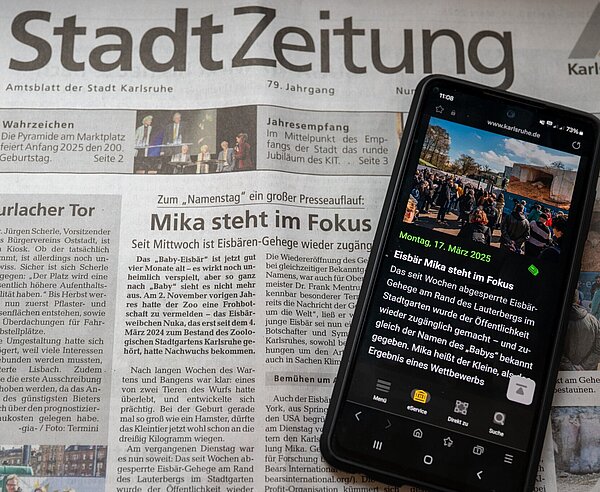 Eisbär Mika: ein Beispiel für analog und digital verbreitete Nachrichten