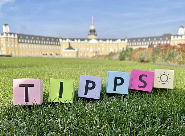 Bunte Buchstabenwürfel auf einer grünen Wiese vor dem Karlsruher Schloss