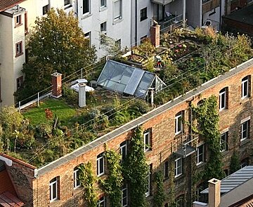 Schrägluftbild einer Dach- und Fassadenbegrünung in der Karlsruher Oststadt