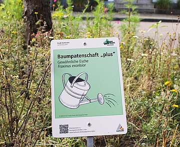 Baum mit Baumpatenschaftstafel und Blumen