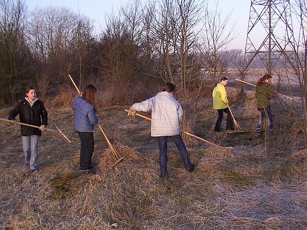 Pflegeeinsatz im Winter
