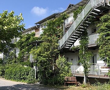 Das Bild zeigt die Fassadenbegrünung von Wohnhäusern.