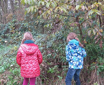  Die Natur erkunden und erforschen - begleitet durch geschulte Fachkräfte  Neues entdecken und kennenlernen mit unterstützung speziell geschulter Fachkräfte macht Spaß und erleichtert die Geheimisse der Natur zu verstehen.