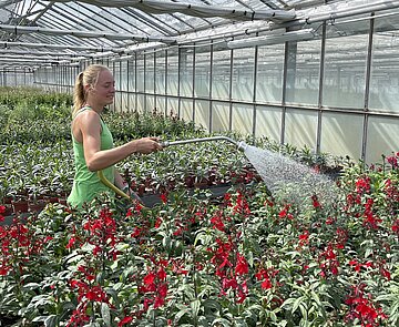 Gärtner*in, Fachrichtung Zierpflanzenbau