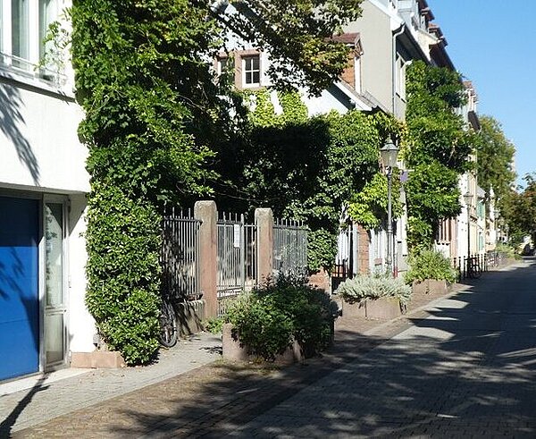 Blick auf die grün bewachsene Fassade des Künstlerhauses. 