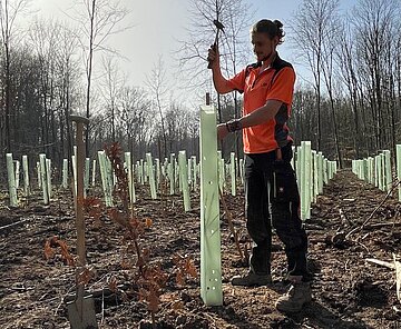 Junger Mann schlägt Pfahl in den Boden