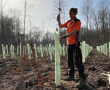 Junger Mann schlägt Pfahl in den Boden