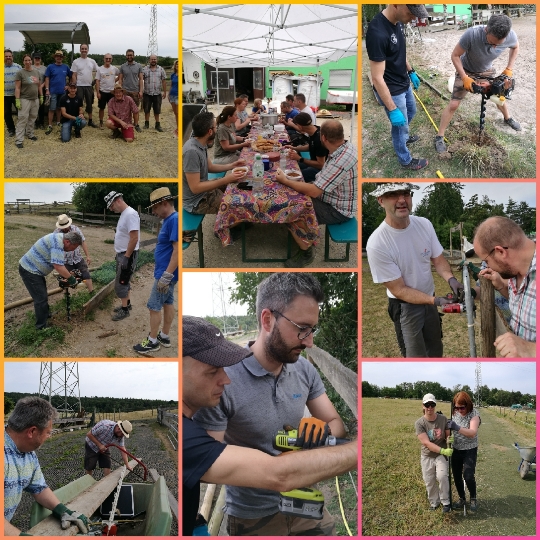 Das Bild zeigt Eindrücke zum Social Day der Fa. Daimler Truck AG bei der AG Tierschutz Pferde & Co.