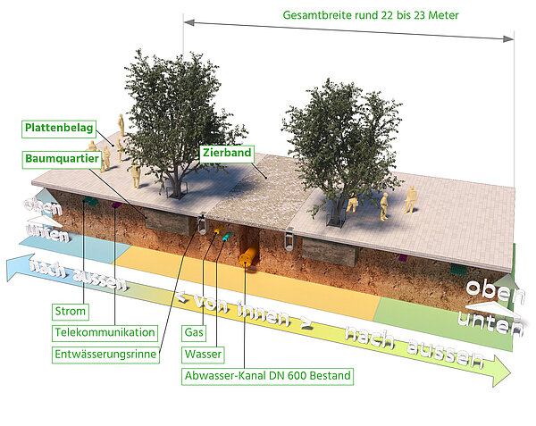 Neugestaltung der Kaiserstraße, Querschnitt