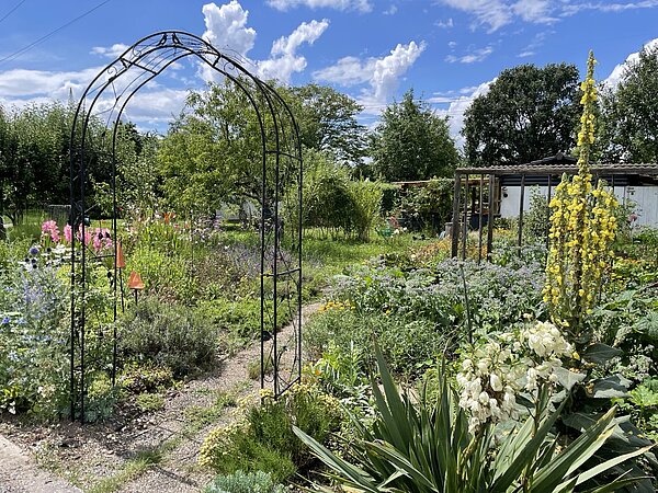 Die Offene Pforte ermöglicht Einblicke in private Gärten und Höfe