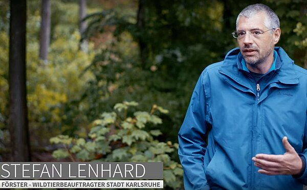 Vorschaubild Perspektivwechsel Natur YouTube