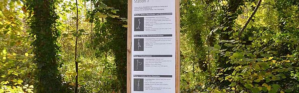 Das Bild zeigt die Dehnungsstation im Waldsportpfad Daxlanden.