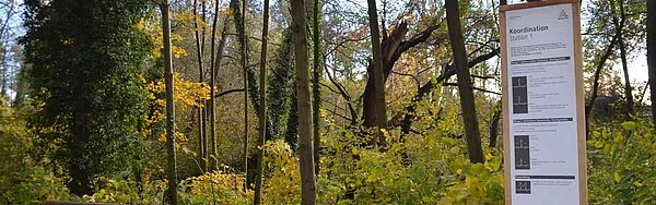 Das Bild zeigt die Balancestation im Waldsportpfad Daxlanden.