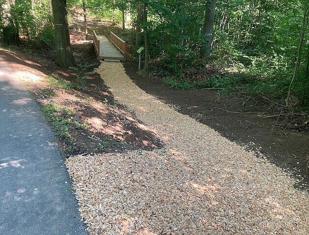 Das Bild zeigt die Brücke des Pfades "WaldWelt".