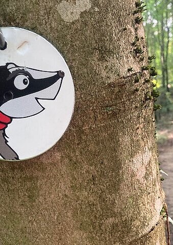 Das Bild zeigt eine Plakette mit dem Maskottchen Diane Dachs des Pfades "WaldWelt".