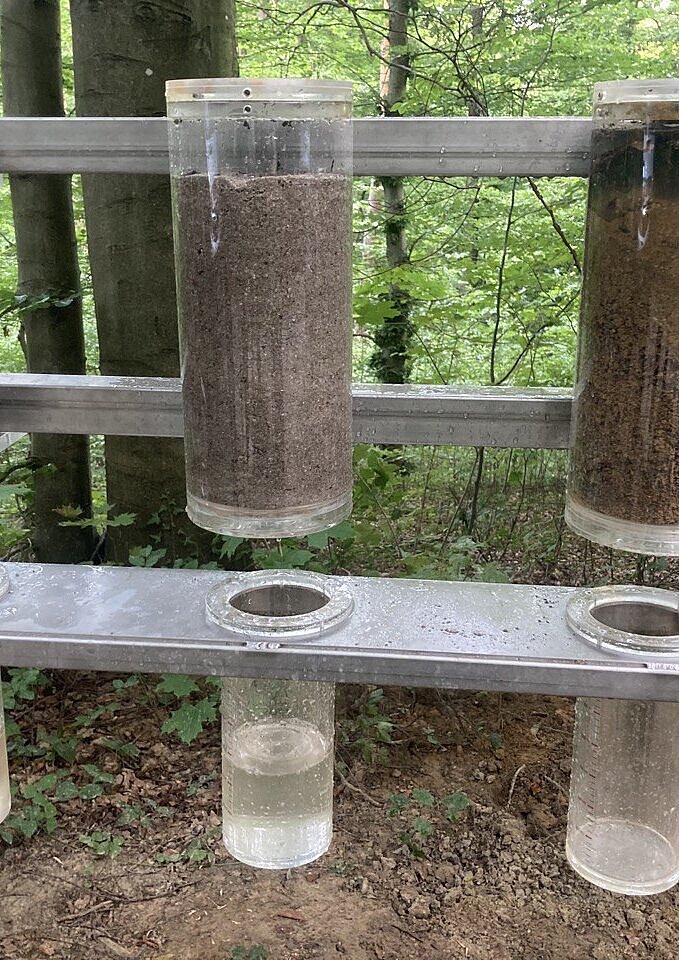 Das Bild zeigt die Wasserstation des Pfades "WaldWelt"