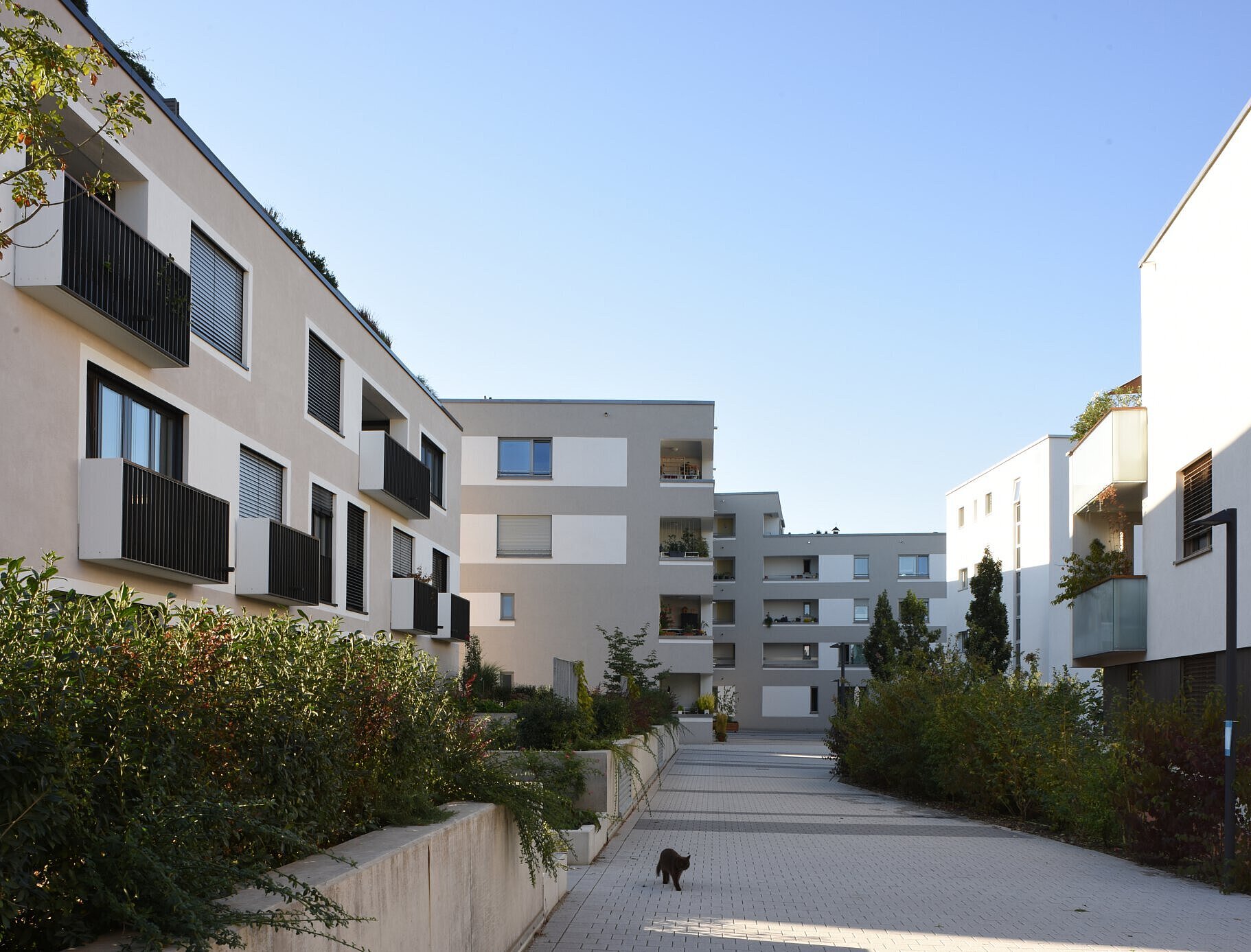 Mehrgenerationwohnen Grünwinkel