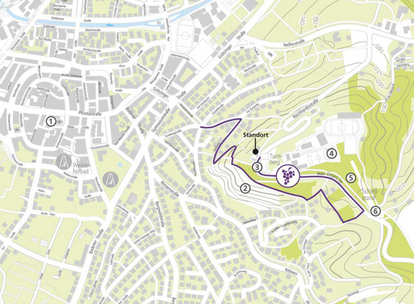 Lila Weinwanderroute