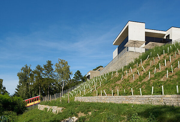 Neugestaltung Turmbergterrasse