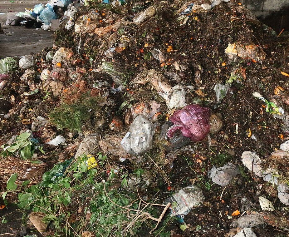 Exemplarischer Bioabfall